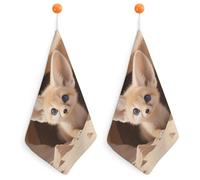LPSADGF Fennec Fox Cub in Den Kitchen Hand Towels Absorbent Towels Quick-Drying Towel with Loop & Hook Soft Dish Cloths for Kitchen & Bathroom 2PCS