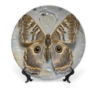 LPSADGF Moth Decorative Plates Ceramic Decorative Plates for Display Bohemian Style Dinner Plate with Display Stand China Plate for Home Decoration 8inch