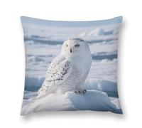LPSADGF Snowy Owl on The Ice Throw Pillow Covers Farmhouse Cushion Cover Boho Plush Pillowcase Decorative Square Pillow Case for Couch Sofa Bed Living Room Home Decor 18 "x18