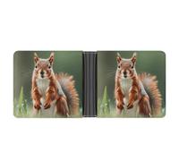 LPSADGF The Witch of Darkness Men's Wallet Leather Money Clip Slim Passcase With 6 Card Slots, 2 Hidden Pockets, Cute Squirrels, One Size, Modern