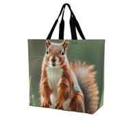 LPSADGF The Witch of Darkness Tote Bag for Women - Reusable Foldable Grocery Shopping Bag, Crossbody Shoulder Handbag, Cute Squirrels, 40x40x16cm