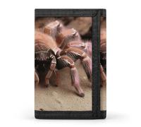 LPSADGF Wallet for Men - Slim Trifold Wallet, Hand Drawn Sketch Corgi Money Clip, Coin Purse with 8 Credit Card Holder, Large Mexican Tarantula, One Size, Modern
