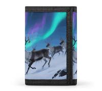 LPSADGF Wallet for Men - Slim Trifold Wallet, Magical Garden with A Fairy Money Clip, Coin Purse with 8 Credit Card Holder, Reindeer under Aurora, One Size, Modern