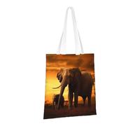 LPSRTWE Canvas Tote Bag Heavy Duty Handbags Reusable Grocery Shopping Bags Sunset Parent-Child Elephant Gift Bags for Women