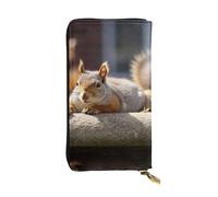 LPSRTWE Ultra Slim Thin Leather Women Wallet Squirrel Just Laying Long Coin Purse Credit Card Holder Bifold Clutch, Black, One Size, Classic