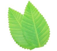 LQ Industrial 200PCS Artificial Leaf Sushi Platter Decoration Leaves Light Green Fish Slice Serving Tray Accessories for Hawaiian Beach Party Supplies or Restaurant Decor