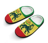 LQKJVXZCNHM Ethiopian Rastafarian Lion Flag Cotton Slippers Warm Bedroom House Slipper Indoor Outdoor Shoes Boys Girls