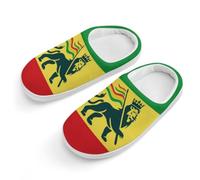 LQKJVXZCNHM Ethiopian Rastafarian Lion Flag Cotton Slippers Warm Bedroom House Slipper Indoor Outdoor Shoes Boys Girls