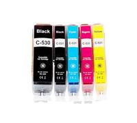 LQNXAVUD Compatible Ink Cartridge For PGI530 XL CLI 531 Works With TS8750 TS8751 Printers(5PCS)