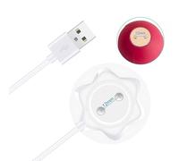 LQQDREX Rose Replacement Charger, Magnetic Rose Charger Replacement, Fast Charging USB Cable, 2.7ft Replacement Charging Cord for Rose Only