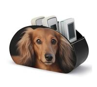 LQWOK Storage Box, Long Haired Dachshund Printed Storage Box,remote Control Storage Box,desktop Storage Box,durable Storage Box