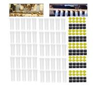 LQXHZ 50PCS Bee Queen Cages Plastic Protective Cover Cage Cell Box Cup Rearing New Bees King Tools Beekeeper Beekeeping Set Supplies