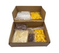LQXHZ Germany Jenter Queen Rearing Kit Nicot Bee Queens Rearing System Queen Bee Larva Move Cage Goods Tool For Beekeeper Supplies(Carton package)