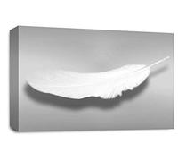 LR Abstract Feather Wall Art Picture Grey White Dream Love Framed Panel Print Ready to Hang