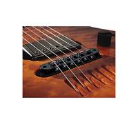 LR BAGGS 2LTB BK Bridge Tune O Matic Piezo