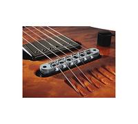 LR BAGGS 2LTB CH Bridge Tune O Matic Piezo