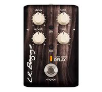 L.R. Baggs Align Delay