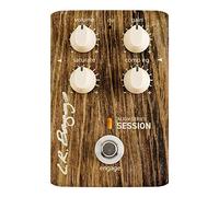 L.R. Baggs Align Session