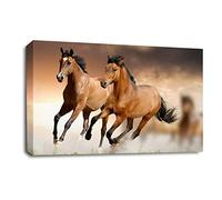 LR Brown Horse Running Wall Art Picture Animal Home Framed Canvas Panel Print Ready to Hang