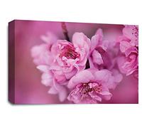 LR Floral Rose Flower Wall Art Picture Pink Cream Blossom Love Framed Canvas Print Ready to Hang