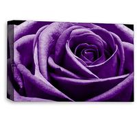 LR Floral Rose Wall Art Purple Canvas Picture Print Flower Framed Panel Ready to Hang