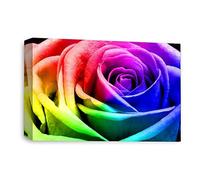 LR Floral Wall Art Picture - Rainbow Rose Framed Canvas Print | Ready to Hang | Modern Wall Art for Living Room, Bedroom & Office