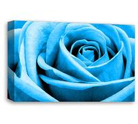 LR Floral Wall Art Print Blue Rose Canvas Picture Flower Framed Panel Ready to Hang