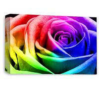 LR Floral Wall Art Print Rainbow Rose Canvas Picture Flower Framed Panel Ready to Hang