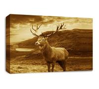 LR Highland Stag Canvas Wall Art Picture Scottish Animal Framed Panel Print Ready to Hang Brown Cream