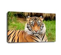 LR Jungle Tiger Animal Wall Art Picture Asia Stripes Framed Canvas Panel Print Ready to Hang