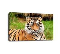 LR Jungle Tiger Animal Wall Art Picture Framed Canvas Print | Ready to Hang | Modern Wall Art for Living Room, Bedroom & Office