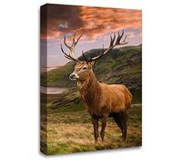LR Large Highland Stag Canvas Wall Art Picture Scottish Animal Deer Framed Panel Print Ready to Hang