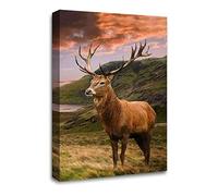LR Large Highland Stag Wall Art Picture Framed Canvas Print | Ready to Hang | Modern Wall Art for Living Room, Bedroom & Office