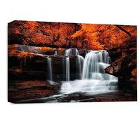 LR Orange Waterfall Canvas Art Picture Forest Landscape Grey White Home Wall Canvas Panel Print