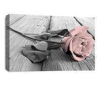 LR Pink Rose Wall Art Grey White Floral Flower Canvas Picture Print