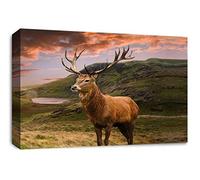 LR Scottish Highland Stag Wall Art Picture Teal Black Grey White Animal Deer Canvas Print Framed Ready to Hang