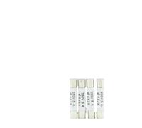 LREDONM 20pcs ceramic fuse 5mm x 25mm slow melting R055 AC250V 0.5A, 1A, 2A, 3A, 4A, 5A, 6A, 8A, 10A, 13A, 15A, 16A, 20A, 25A(0.5A(20pcs))