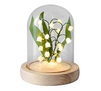 LRFVADW Night Light Lily of The Valley Flowers Night Light DIY Dome Lighted for Party Christmas Wedding Bedroom Decoration Gift