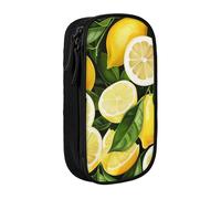 LRHCNZDCP Fresh Tropical Lemons Printed Pencil Case Pouch, Cute Pencil Pen Case Pencil Box Pen Bag for School Office,Black