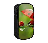 LRHCNZDCP Funny Ladybug Printed Pencil Case Pouch Black, Cute Pencil Pen Case Pencil Box Pen Bag for School Office