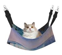 LRHCNZDCP Niagara Falls Print Cat Hammock Bed, Soft Double-Layered Hanging Pet Bed for Small Pet, L