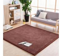 Lrisveana Area Rug Coral Velvet Play Mat Study Walking Crawling Mat 40 x 60 cm Large Play Mat Anti-Slip Rug Yoga Mat Exercise Pads Playroom Rugs