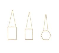 Lrtzizy 3 Packs Pressed Flowers Glass Frames- Golden Hanging Glass Picture Frames with Chain Floating DIY Artwork Display Frames