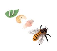 LRXIYODE 1 set Educational Bee Growth Cycle Model of Realistic Miniature Insect Figures for Creative Projects Nature Learning