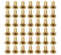 LRXIYODE 100pcs Tubular Hollow Metal Rivets for Harp Strings, 5mm X 3mm Eyelet Fasteners for Lyre and Musical Instrument Repair, Small Hollow Rivets Set for Orchestral String Accessories