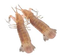 LRXIYODE 2 pcs Lifelike Shrimp Model Realistic Simulation Artificial Shrimp Display for Home Decoration Educational Use with Fine Texture and Vivid Design