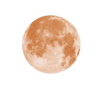 LRXIYODE 20cm Glowing Moon Wall Decal Round PVC Wall Sticker Removable Glow in The Dark Luminous Sticker for Room and Living Room Nursery Decor