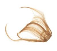 LRXIYODE 2pcs Clip Bangs Hair Extension Fake Fringe Hairpiece Lightweight Soft Touch Invisible Seamless Integration for Women All Face Shapes Daily Wear