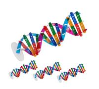 LRXIYODE 4pcs Dna Double Helix Structure Model Educational Human Genes Molecular Learning Kit for Biology Teaching Supplies Classroom Science Tool