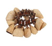 LRXIYODE African Tribal Dance Bracelet Handbell Natural Nut Shell Percussion Shaker Wristband for Adults Lightweight Musical Instrument with Resonant Bright Tones